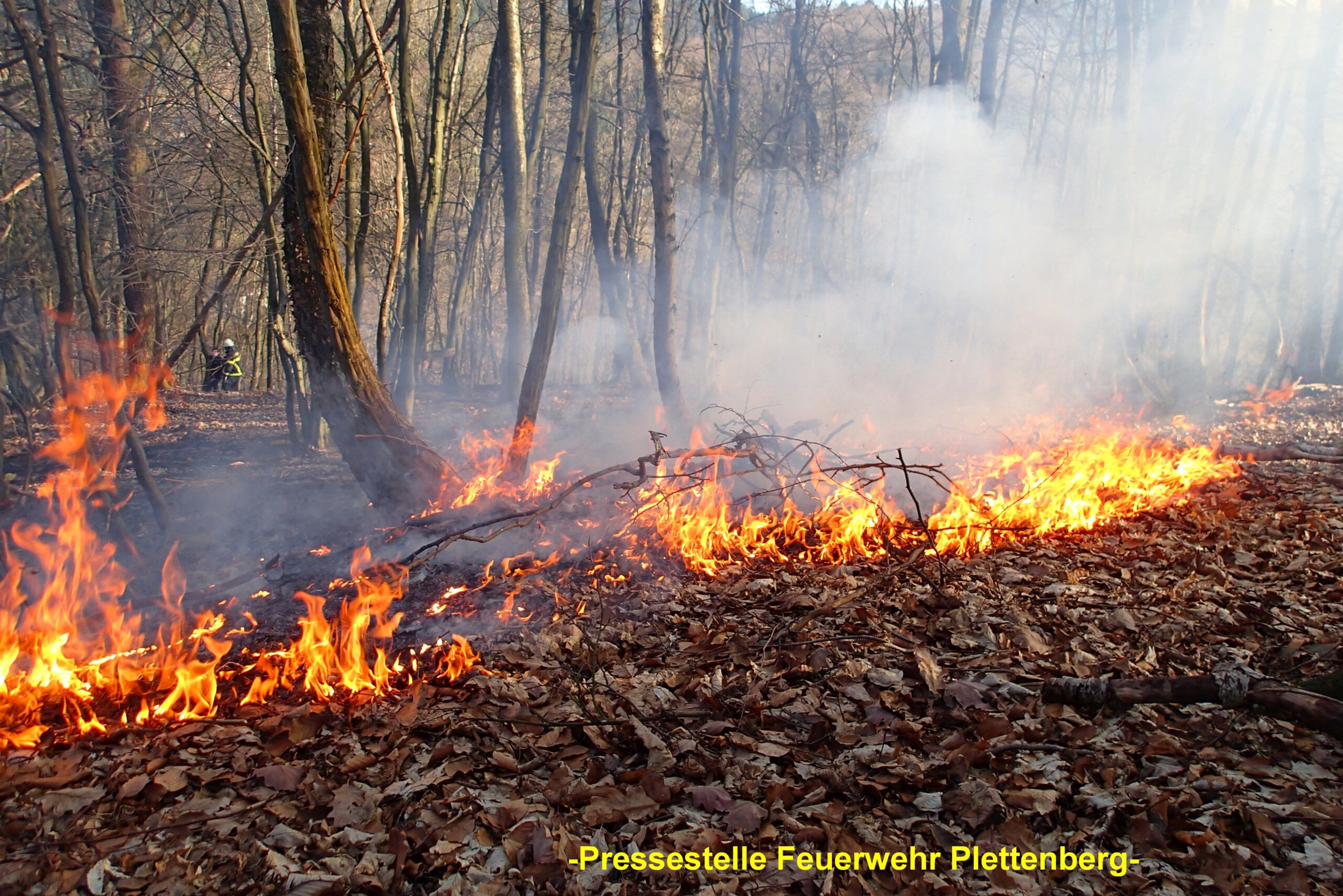 Hohe Waldbrandgefahr in NRW