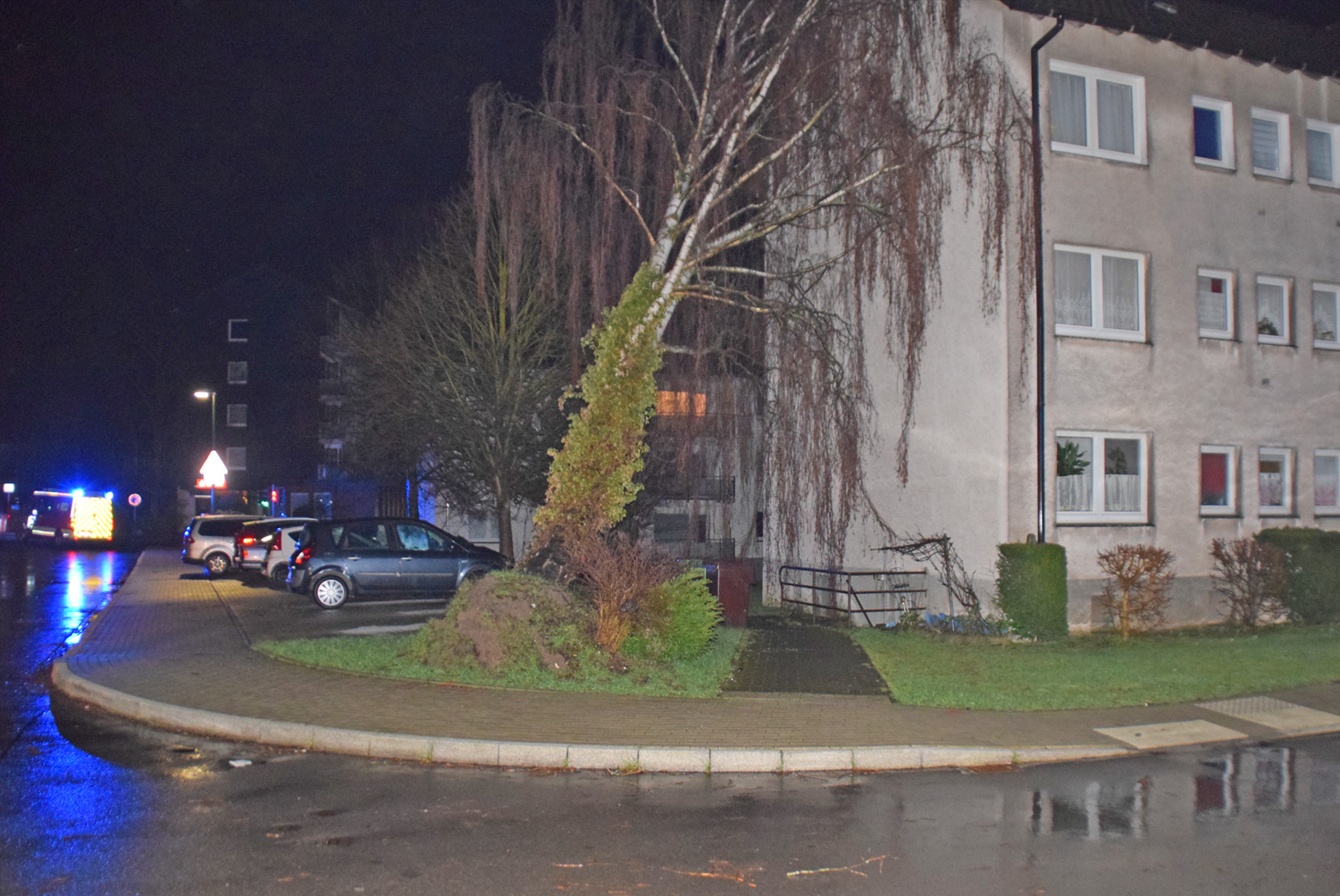 Langwieriger Einsatz im Schwalbenohl – Baum auf Gebäude